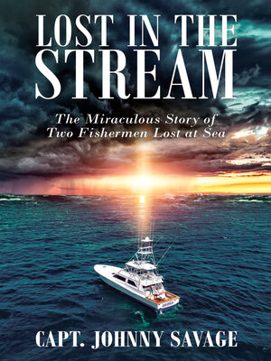 cover image of Lost in the Stream